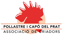 Asociación de Criadores de la Raza Prat